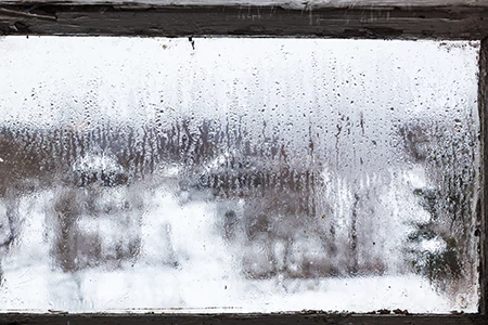 Defogging Double Pane Windows in Palm Harbor, FL