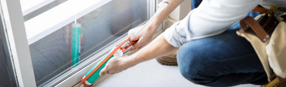 Emergency Window Replacement Services in Palm Harbor, FL