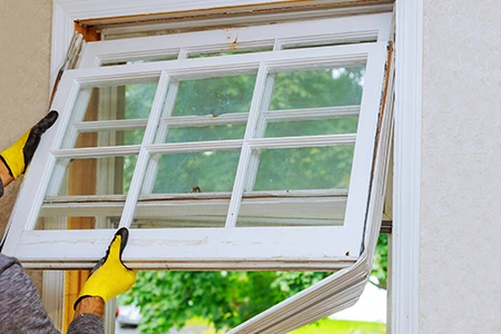 Window Replacement in Palm Harbor, FL
